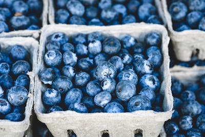 Berries