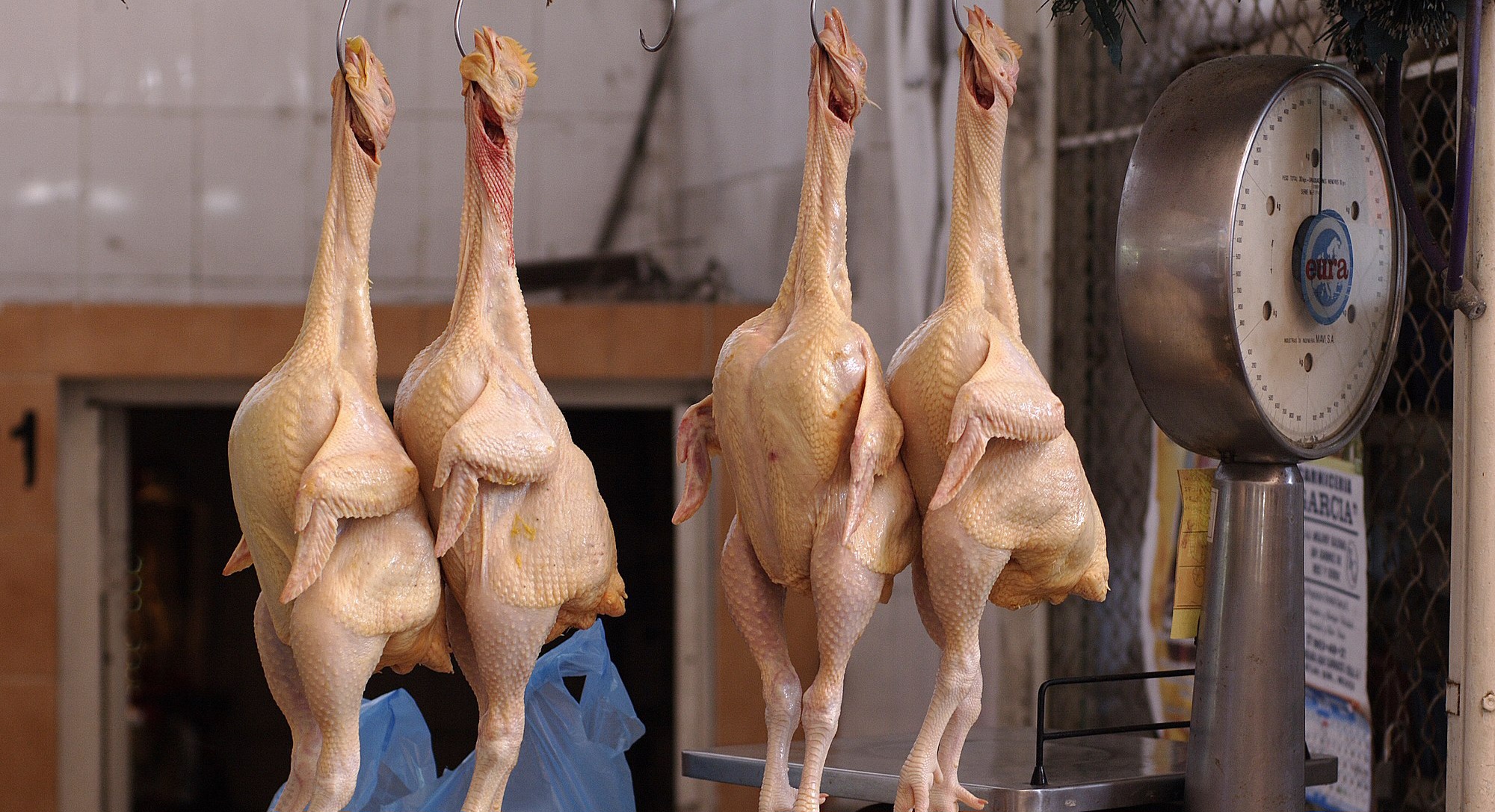Whole Chicken
