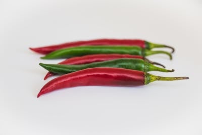 Jalapeno Peppers