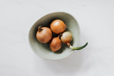 Onion