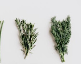 Thyme